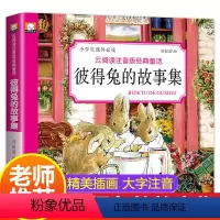 [正版]彼得兔的故事全集注音版绘本一年级必读二年级小学生课外阅读书籍1-2-3带拼音的童话故事书老师班主任6-7-8-
