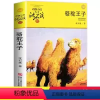 [正版]骆驼王子 沈石溪动物小说品藏书系升级版 小学生课外阅读书籍6-12岁青少年版儿童文学三四五六年级必读儿童文学故