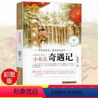 [正版]小布头奇遇记孙幼军非注音版 小学生课外阅读书籍小学一年级二年级三年级必读 小布头新奇遇记精选童话7-8-10-