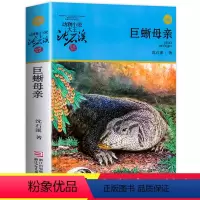 [正版]巨蜥母亲 沈石溪动物小说品藏书系升级版小学生课外阅读书籍6-12岁青少年版儿童文学三四五六年级必读儿童文学故事