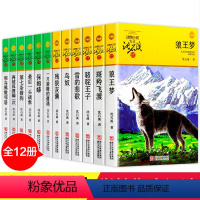 [正版]沈石溪动物小说全集 全套12册 全系列的书 狼王梦 第七条猎狗经典书籍 小学生 保姆蟒 四五六年级 后一头战象