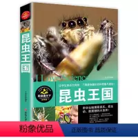 [正版]昆虫王国大百科十万个为什么全套小学少儿百科全书儿童图书6-7-8-9-10-12-15岁走进奇妙的虫子世界成人
