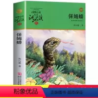 [正版]保姆蟒 沈石溪动物小说品藏书系升级版 小学生课外阅读书籍 6-12岁青少年版儿童文学 三四五六年级必读儿童文学