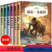 [正版]沈石溪动物小说全集6册后一头猛犸三四五六七年级中小学生课外阅读书籍3-6年级必读课外书8-9-10-12-15