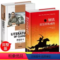 [正版]全套2册 傅雷家书和钢铁是怎样炼成的八年级下册初中版原著完整版书无删减初中生必读名著书籍下