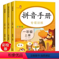 [正版]全套3本 一年级上册看拼音写词语生字注音拼音手册专项训练阅读理解练习