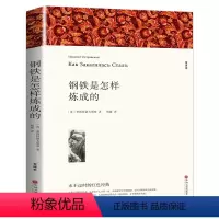 钢铁是怎样炼成的 [正版]老师 钢铁是怎样炼成的初中原著完整版适合小学生初中生课外阅读书籍青少年初二学生版七八年级下册必