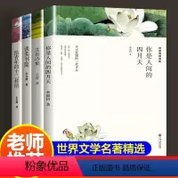 [正版]艾青诗选诗集九年级必读原著谈美书简朱光潜初中生高中学生小学生课外读物给青年的十二封信林徽因你是人间的四月天儿童