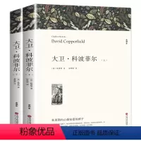 大卫·科波菲尔(上下册) [正版]大卫科波菲尔狄更斯经典名著长篇小说上下册全译本无删节高中生世界文学高中版大卫·科波菲尔