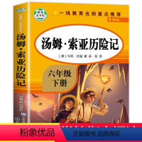 汤姆索亚历险记 [正版]汤姆索亚历险记全集完整版 快乐读书吧6年级下册 老师经典必读的课外书 适合小学生下学期课外阅读书