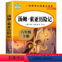 汤姆索亚历险记 [正版]汤姆索亚历险记全集完整版 快乐读书吧6年级下册 老师经典必读的课外书 适合小学生下学期课外阅读书