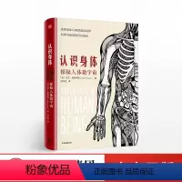 [正版]认识身体 探秘人体微宇宙 加文弗朗西斯 著 普通人看得懂的医学科普书 人体解剖知识故事书 出版社图书