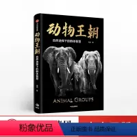 [正版] 动物王朝 自然选择下的群体智慧 冉浩 著 动物群体行为 动物世界 出版社