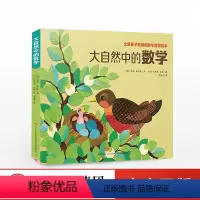单本全册 [正版]大自然中的数学 套装共4册 孩子数学入门启蒙绘本 小班中班大班学前宝宝幼小衔接儿童幼儿园数学思维训练