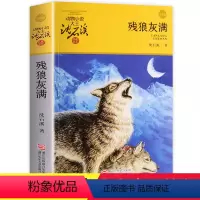 [正版]残狼灰满 沈石溪动物小说品藏书系升级版 小学生课外阅读书籍6-12岁青少年版儿童文学三四五六年级必读儿童文学故