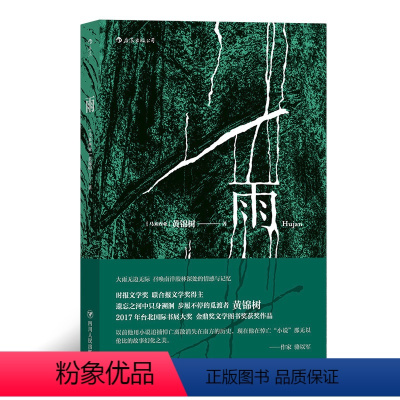 [正版]雨 B站胡歌配音 黄锦树著 马来西亚华语金鼎奖图书奖获奖作品 短篇小说作品集 出品
