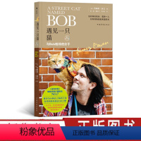 [正版] 遇见一只猫-与Bob相伴的日子(增补修订版)走红大银幕的明星流浪猫Bob为你讲述有关生存责任尊重与爱的故事流