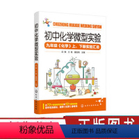 [正版]初中化学微型实验 九年级化学实验汇总 化学实验参考书籍 化学基础知识教程书 初中中考化学复习资料指导图书籍 中