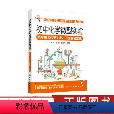 [正版]初中化学微型实验 九年级化学实验汇总 化学实验参考书籍 化学基础知识教程书 初中中考化学复习资料指导图书籍 中