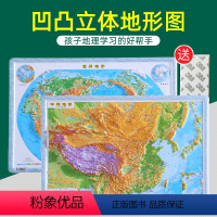 [正版]中国地形图世界地形图 3D凹凸立体地图 4开54cmx37cm 地势地貌地理课上教师的好教具 初中高中小学生地