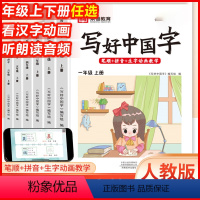 [语文]写好中国字上下册(2本) 小学一年级 [正版]新品2024写好中国字正楷临摹儿童硬笔楷书一二三四五六年级下册上册