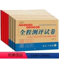 全套8册 八年级上 [正版]八年级上册试卷全套8册人教版初二上册全套测试卷8年级语文数学英语物理历史道德与法治生物地理教