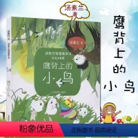 [正版]鹰背上的小鸟彩图注音版小学生一二三年级课外阅读汤素兰智慧童年书读物书儿童读物3-6-9岁 山东教育出版社出