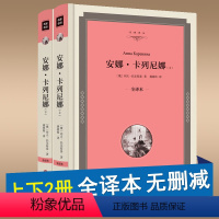 [正版]精装版安娜卡列尼娜(上下册) 全译本 列夫·托尔斯泰(俄)著 安娜卡列尼娜书 世界名著 外国经典国外文学长篇