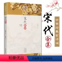 [正版]宋代合集中华经典好诗词 编者:王国钦|总主编:陈祖美 中华古代诗词原文注释鉴赏 河南文艺出版社 唐宋卷