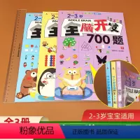 [正版]全套3本2-3岁全脑开发700题幼儿益智书籍思维专注力训练练习册宝宝全脑开发大书儿童课堂早教闪卡全脑潜能开发教