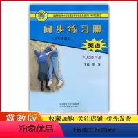 英语 [正版]2023小学6/六年级下册英语同步练习册配冀教版/陕西科学技术出版社小学生英语三年级起点练习题作业本专项同