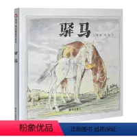 [正版]儿童绘本 驿马 明天出版社 早教幼儿童亲子读物儿童故事少儿书籍2-3-4-5-6-8岁早教书籍