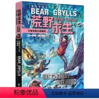 [正版]荒野求生少年生存小说系列11-狼獾冰原的疯狂追踪 儿童探险书6-7-10-12-15岁野外探险生存技巧书籍 小