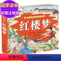 [正版]小树苗儿童成长经典阅读宝库 红楼梦304页 四大名著6-9-12岁彩图注音版少儿课外阅读书籍 睡前故事亲子读物