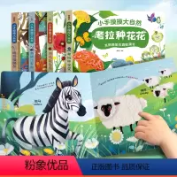 宝宝触摸书套装4册 [正版]识字书幼儿认字 我的第一本汉字书全4册 中英双语儿童学前看图识字训练3-6岁幼儿园认字书早教