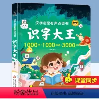 汉字启蒙有声点读书:识字大王 [正版]2024新版会说话的早教有声书 中英粤语学习机0-7岁点读书 宝宝学说话手指点读启