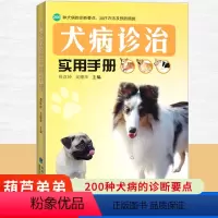 [正版]犬病诊治实用手册 200种犬病的诊断要点治疗方法及预防措施宠物医疗书籍养狗达人手册犬病防治方法犬病治疗教程科普