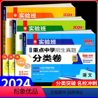 语数英[分类卷] 小学升初中 [正版]2024小升初实验班百所重点中学招生真题分类卷语文数学英语小学升学初中测试卷全套名