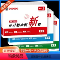 [备考2024 含真题]语文+数学+英语 小学升初中 [正版]2024版小升初冲刺新卷语文数学英语人教版五六年级下册小学