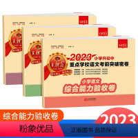 [通用版]小升初突破卷 语文数学英语 小学升初中 [正版]2023版小升初初中重点学校考前突破密卷语文数学英语人教版全国