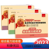 [通用版]小升初突破卷 语文数学英语 小学升初中 [正版]2023版小升初初中重点学校考前突破密卷语文数学英语人教版全国