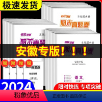 [安徽版]期末真题卷 语数英物 八年级下 [正版]安徽专版名校课堂期末真题卷精编七年级下册八年级下册初中语文数学英语物理