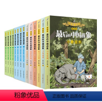 [套装]全14册 [正版]学校力荐后的中国战象 漫画版全册 签名卡片沈石溪动物小说 象群的征途小象拔刺小学生四五六年级课