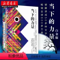[正版]2022版次 当下的力量 埃克哈特·托利 著 硬皮精装 新版白金版 自我实现励志读物心灵大师经典之作 张德芬