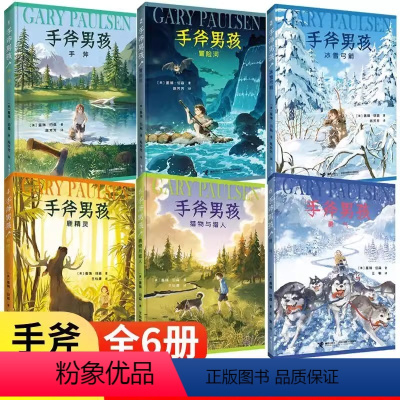 手斧男孩(共6册) [正版]手斧男孩系列全套6册纽伯瑞儿童文学大奖小说三四五六年级小学生课外阅读书籍冒险探险故事成长励志