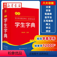 [正版]2024新版 新编学生字典 字典小学生一年级便携词语字典 新版1-6年级词典工具书 多功能标准新编汉语拼音词典