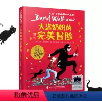 大盗奶奶的完美冒险 [正版]了不起的大盗奶奶 三年级阅读 祖庆说百班千人大阅小森本狮书店 了不起的大盗奶奶书 小学生课外