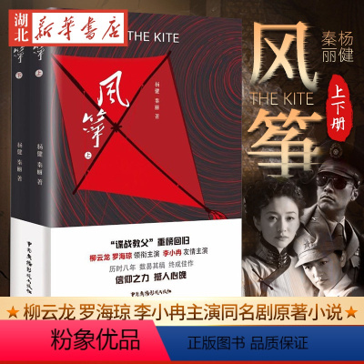 [正版]书店 风筝杨健秦丽著 柳云龙李小冉罗海琼主演同名电视剧《风筝》原著小说潜伏暗算沉浮书籍 中国现当代文学 图