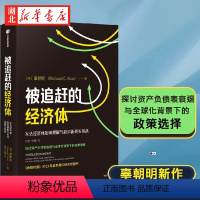 [正版]被追赶的经济体 辜朝明新作 探讨资产负债表衰退与全球化背景下的政策选择 金融时报2023年夏季经济学图书 市场