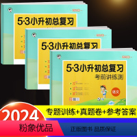 53小升初总复习 语文+数学+英语 小学升初中 [正版]2024新版53小升初总复习语文数学英语人教版小学六年级下册试卷